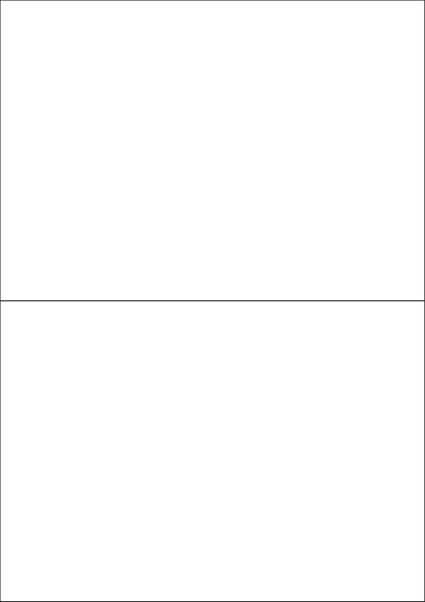 210mm x 147.6mm - Fluorescent Economy Labels 331-02