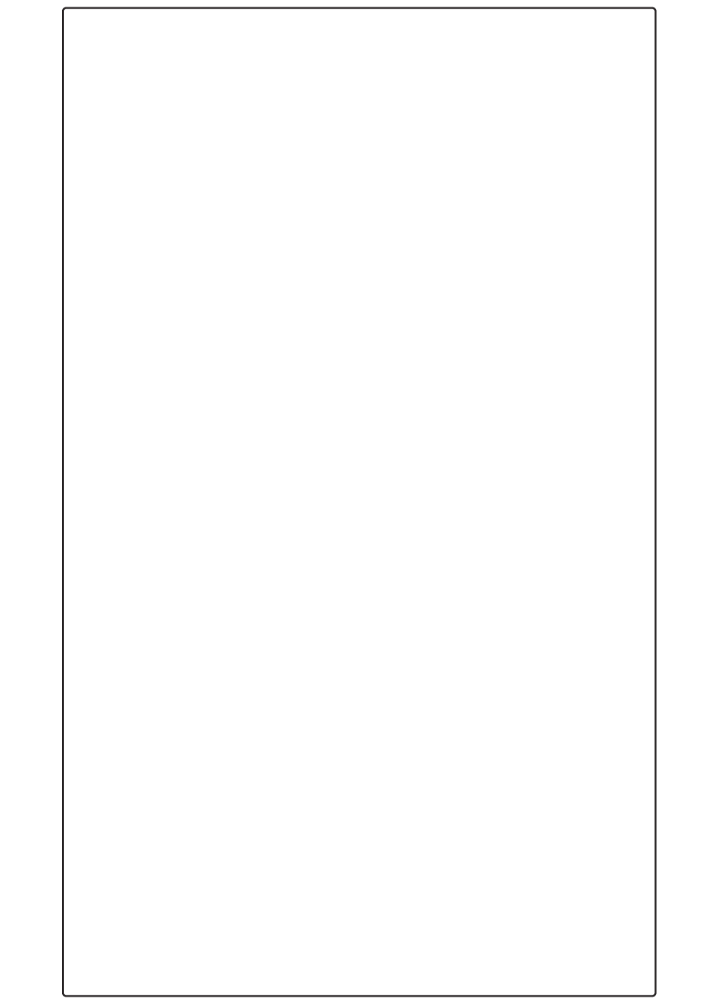 Rectangle Labels 165mm x 275mm - 250 labels per roll