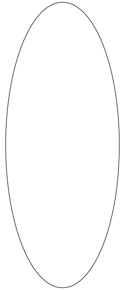 Oval Labels 100mm x 250mm - 280 labels per roll Oval Labels 100mm x 250mm - 280 labels per roll