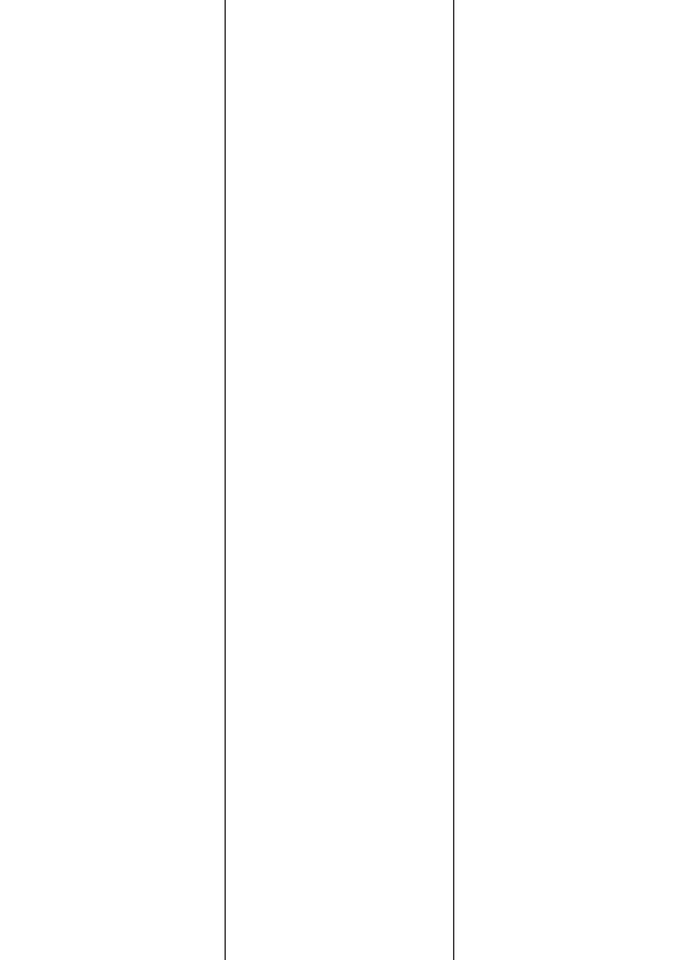 30001 - Backslit - 2 LE Slit - 420 long (100mm apart - Centred)