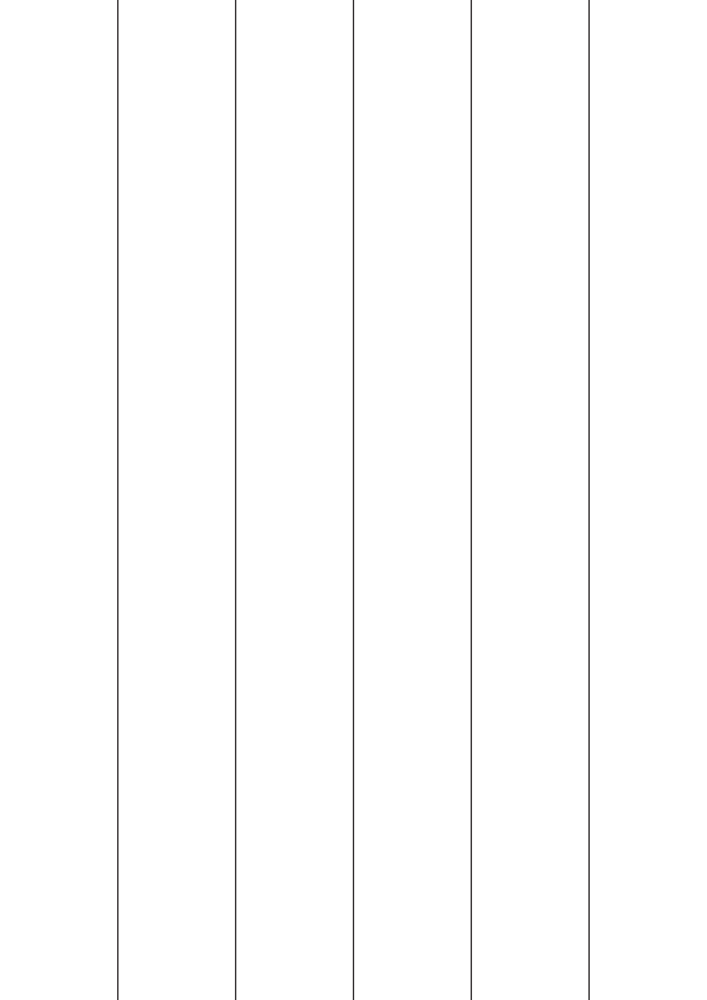 30002 - Backslit - 5 LE Slit - 420 long (49.5mm apart - Centred) 30002 - Backslit - 5 LE Slit - 420 long (49.5mm apart - Centred)