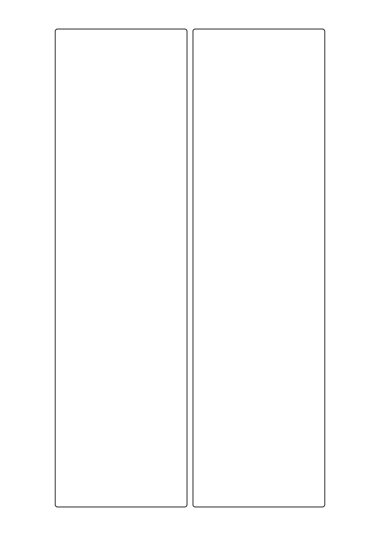 30060 - Label Size 111mm x 402mm - 2 label(s) per sheet