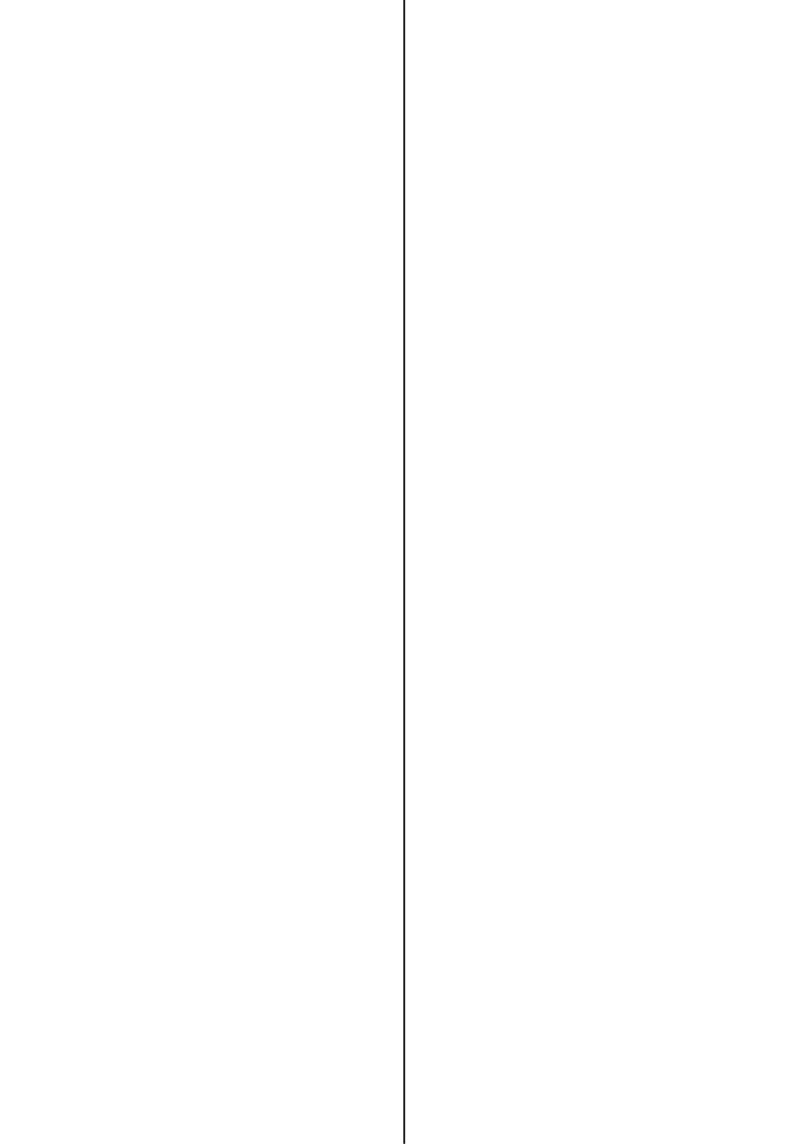 30064 - Backslit - 1 LE Slit - 420 long (Centred) 30064 - Backslit - 1 LE Slit - 420 long (Centred)