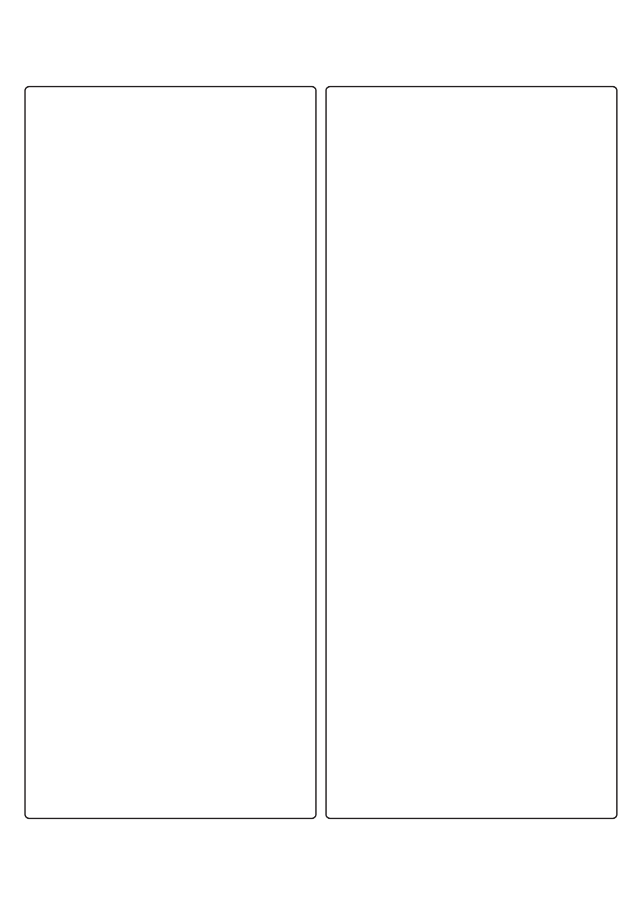 30078 - Label Size 145mm x 364.5mm - 2 label(s) per sheet