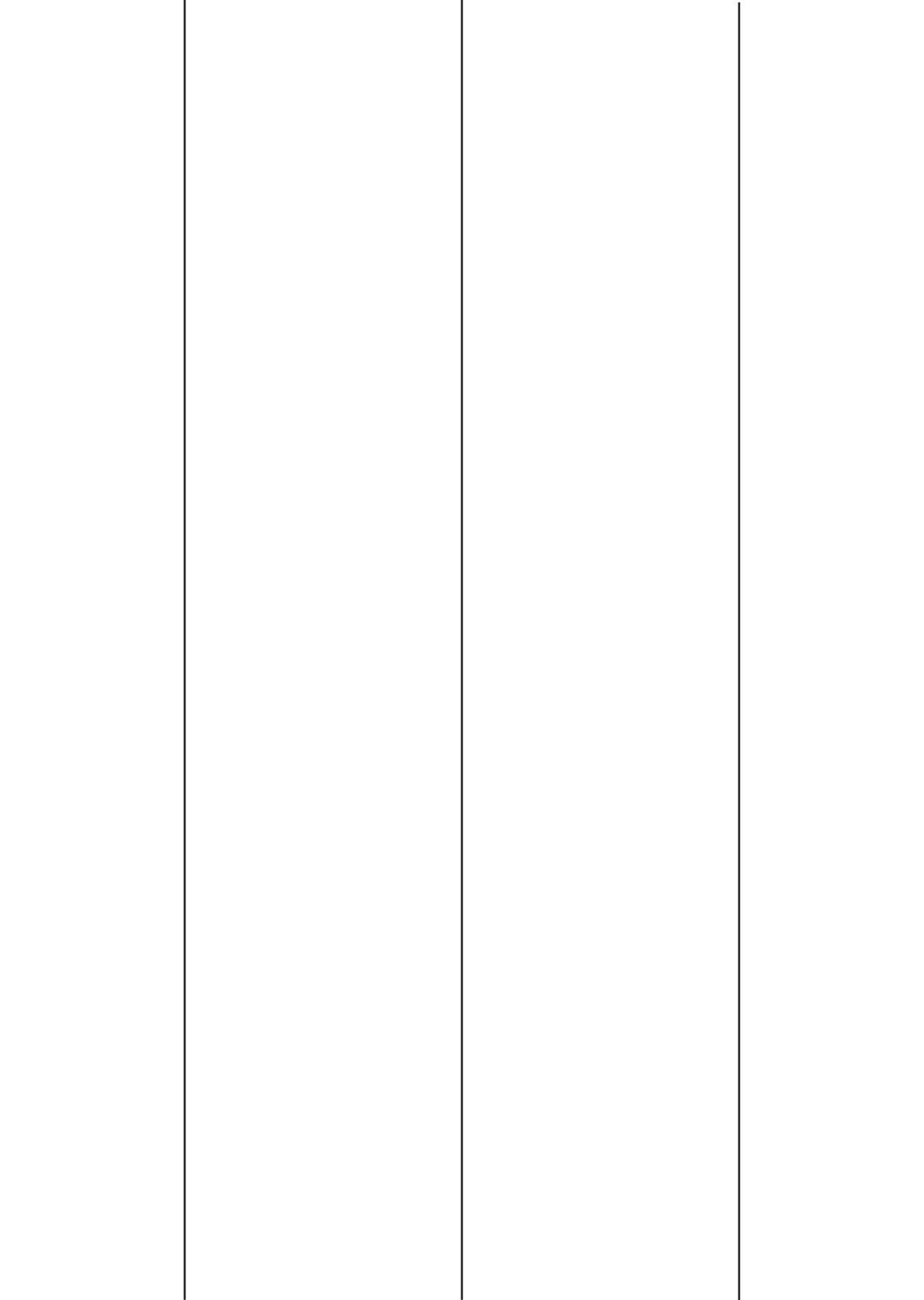 30083 - Backslit - 3 LE Slit - 450 long (96mm apart - Centred) 30083 - Backslit - 3 LE Slit - 450 long (96mm apart - Centred)