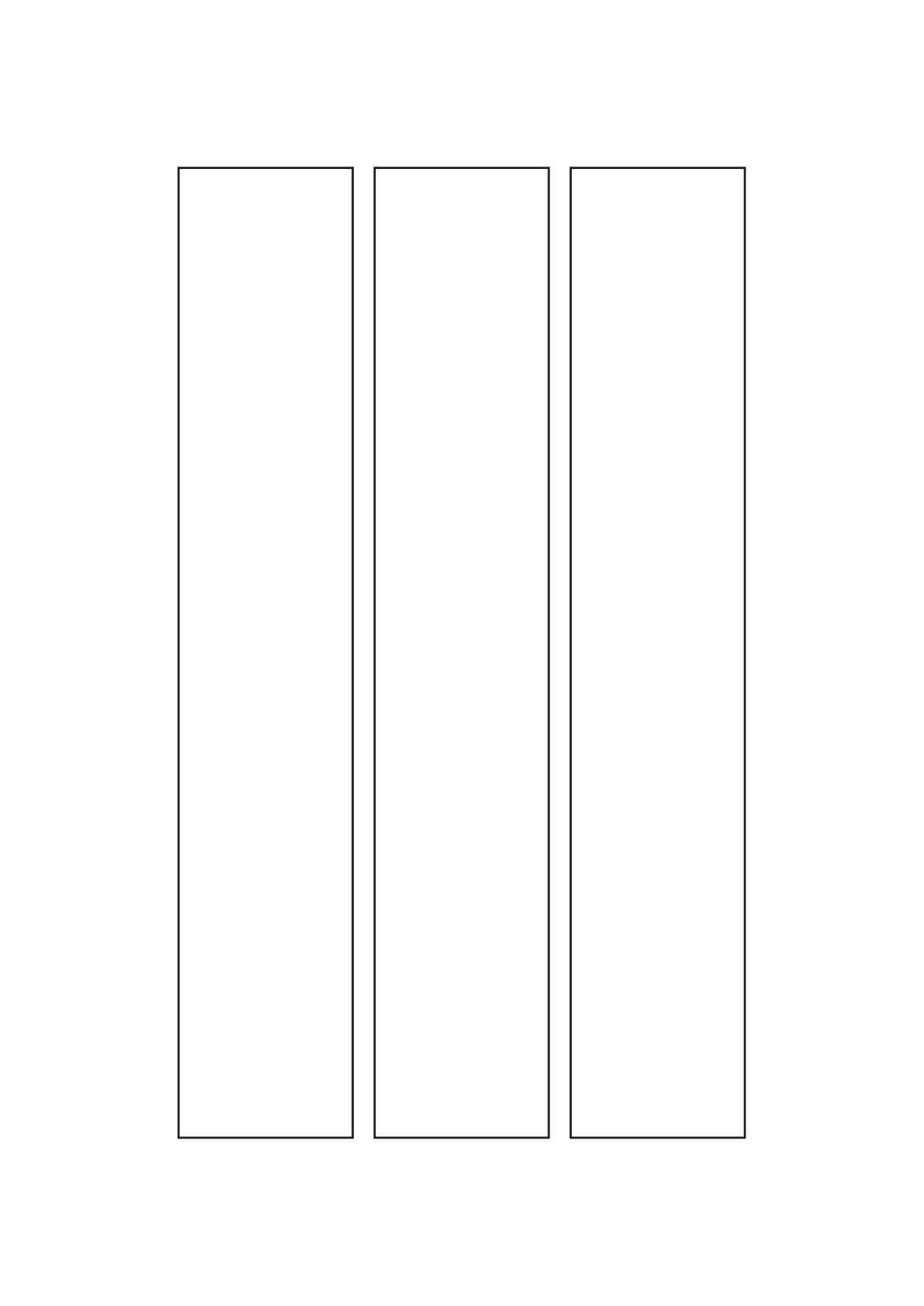 30095 - Label Size 56mm x 312mm - 3 label(s) per sheet